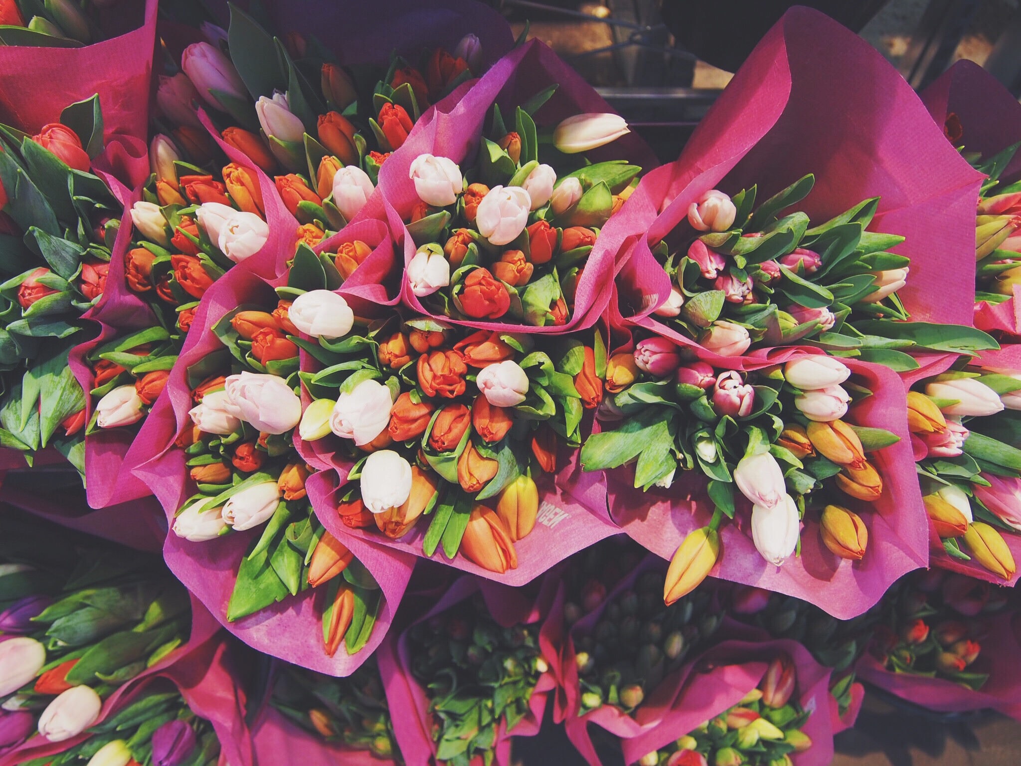 Spring